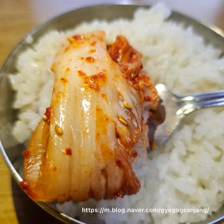 청학동계곡산장 이미지