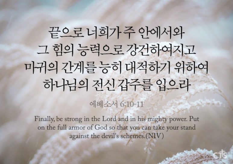 전신갑주 이미지