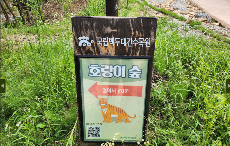 호랑이펜션 이미지