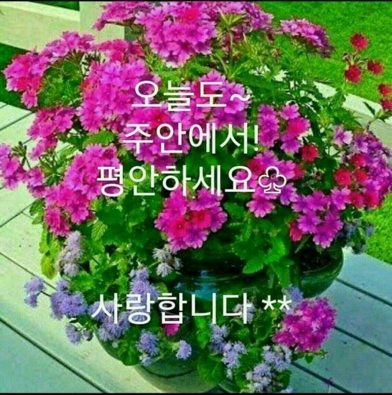 전신갑주 이미지