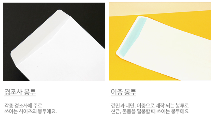 레드망고여행사 이미지