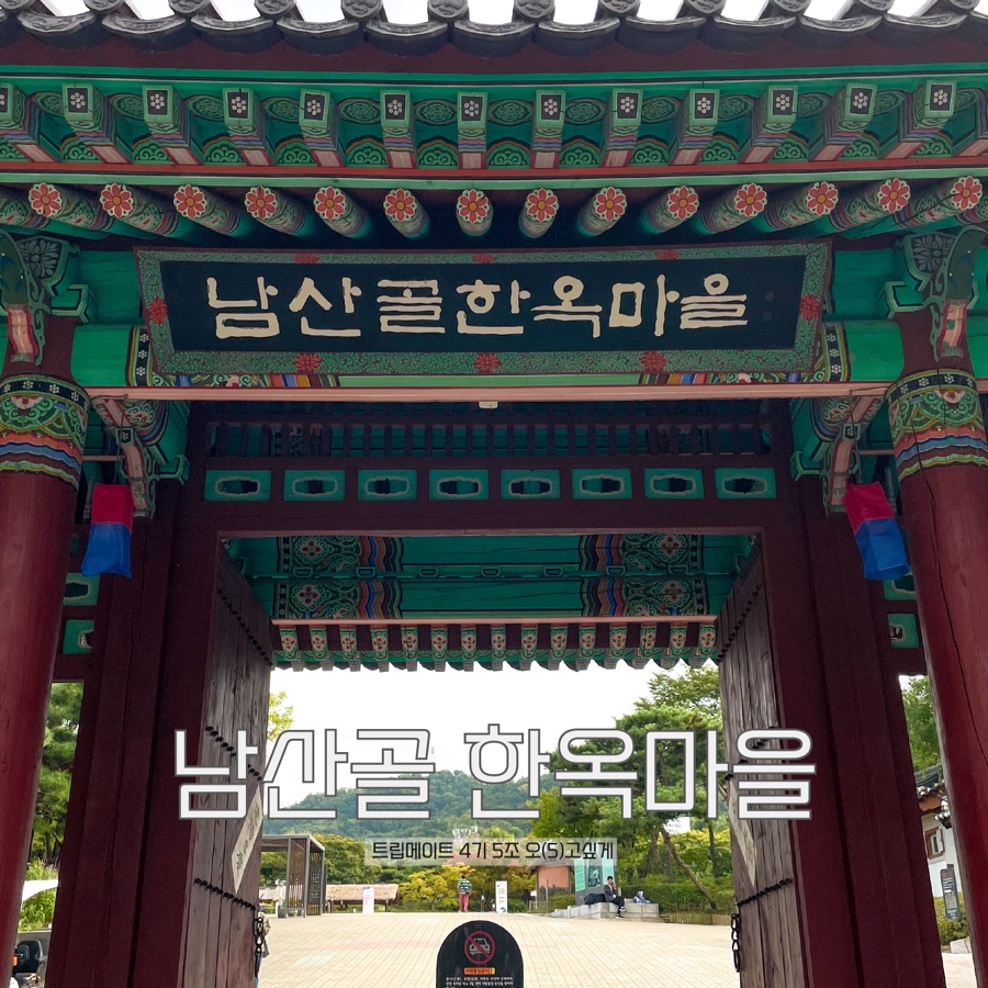 트립메이트 이미지