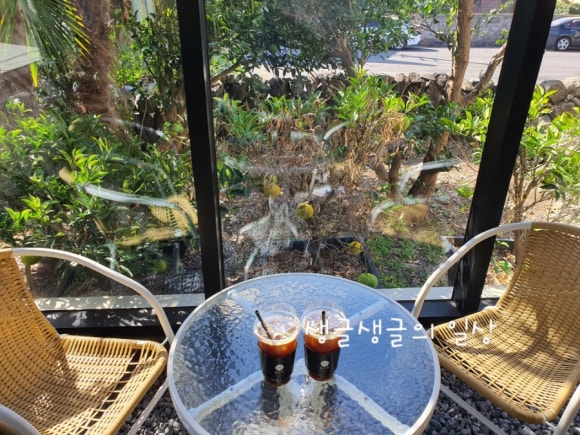 돌카롱중문점 이미지