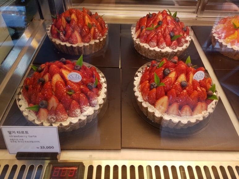 파스타여행 이미지