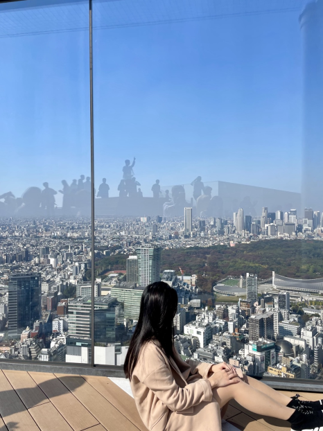 스카이핌 이미지