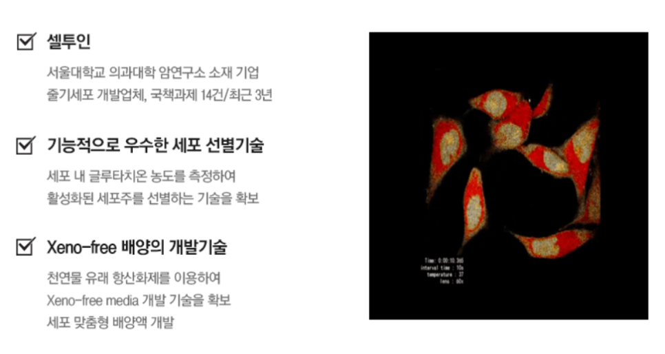 에스앤지2 이미지