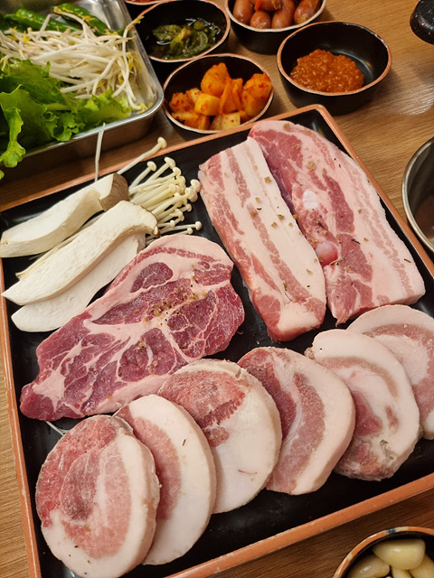 나돼지 이미지