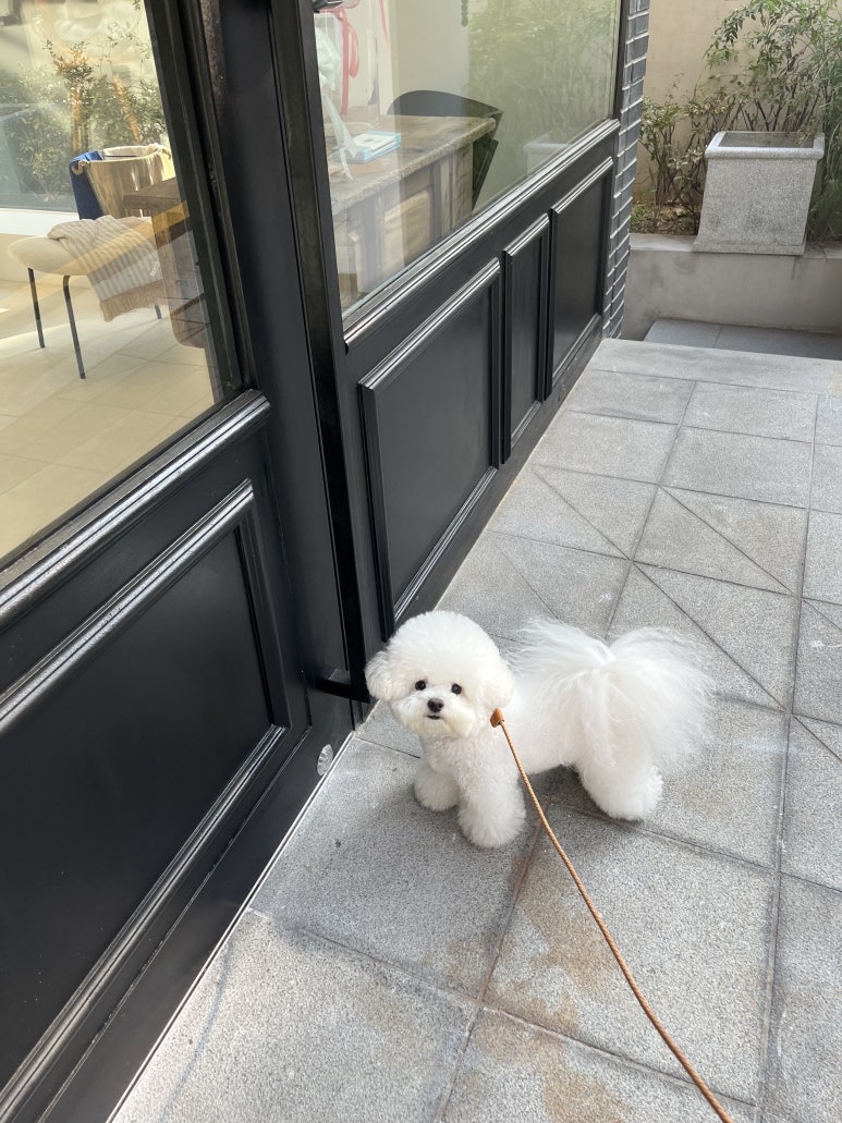 아뜰리에드마리 이미지