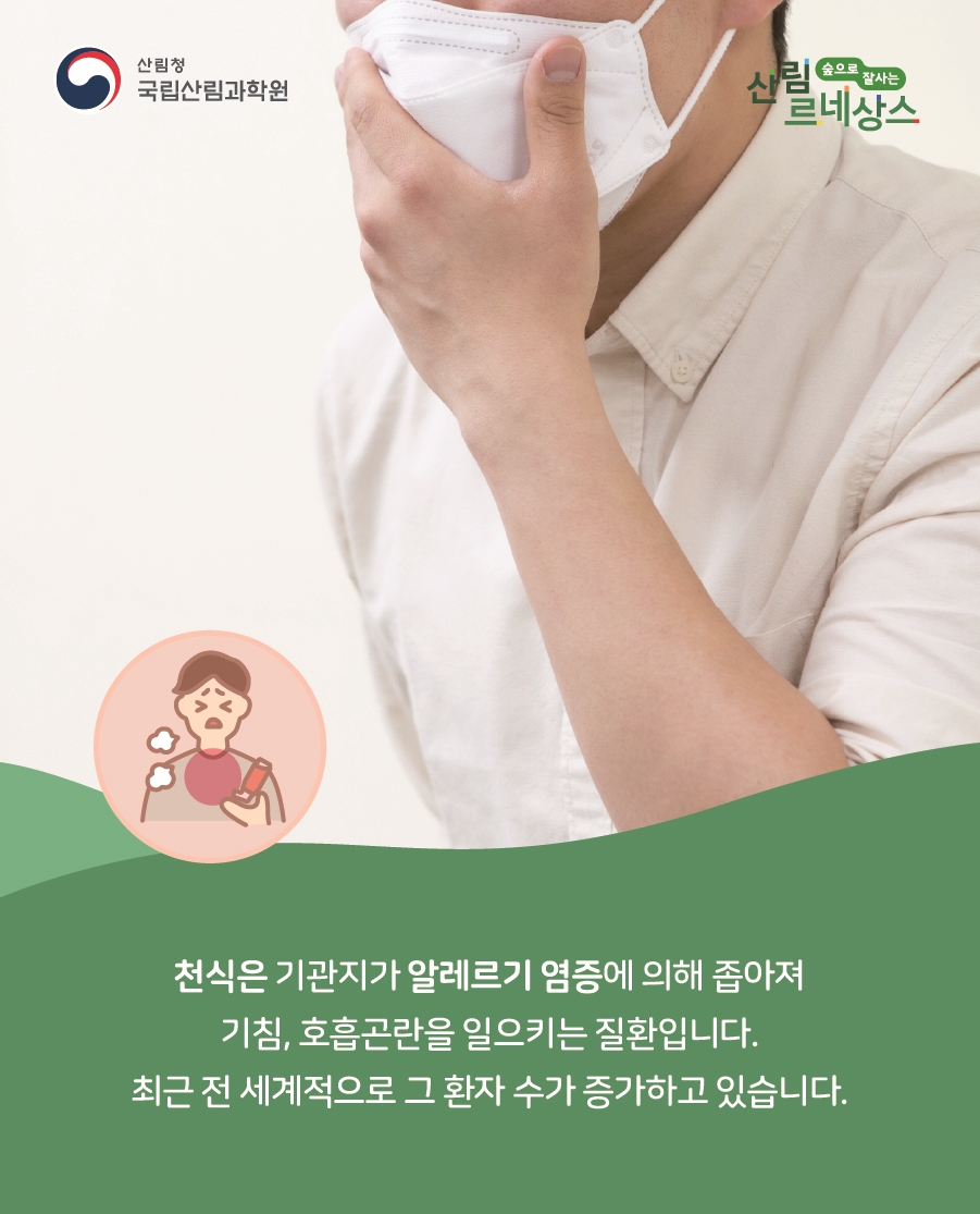 우리목재 이미지