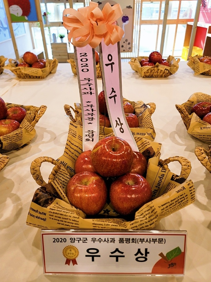 양구펀치볼사과 이미지