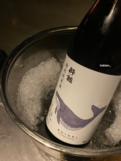 진도켄 이미지