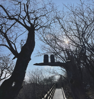 부엉이휴게소 이미지