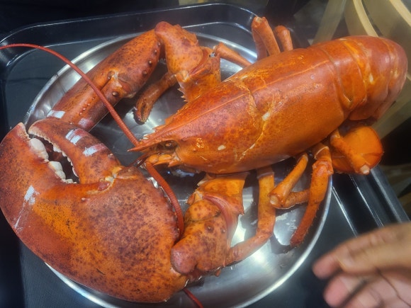 해수크랩 이미지