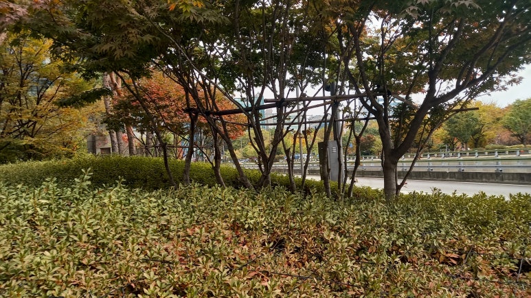 한빛청소용역 이미지