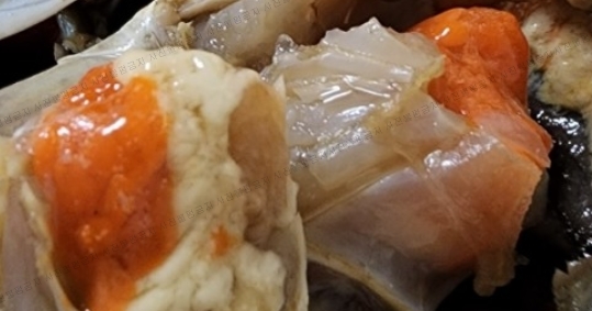 서해꽃게 이미지