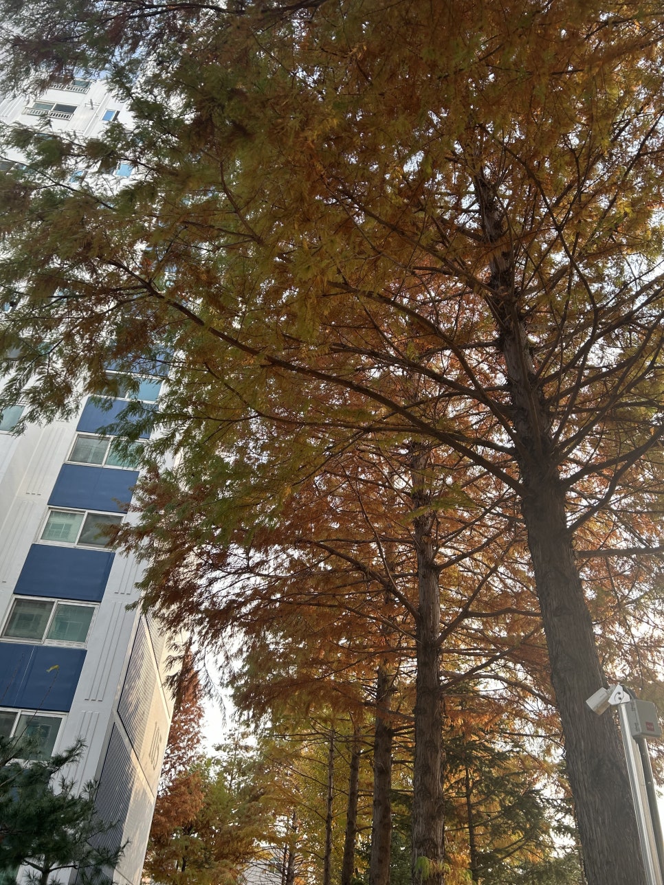 싹쓸이 장터 이미지