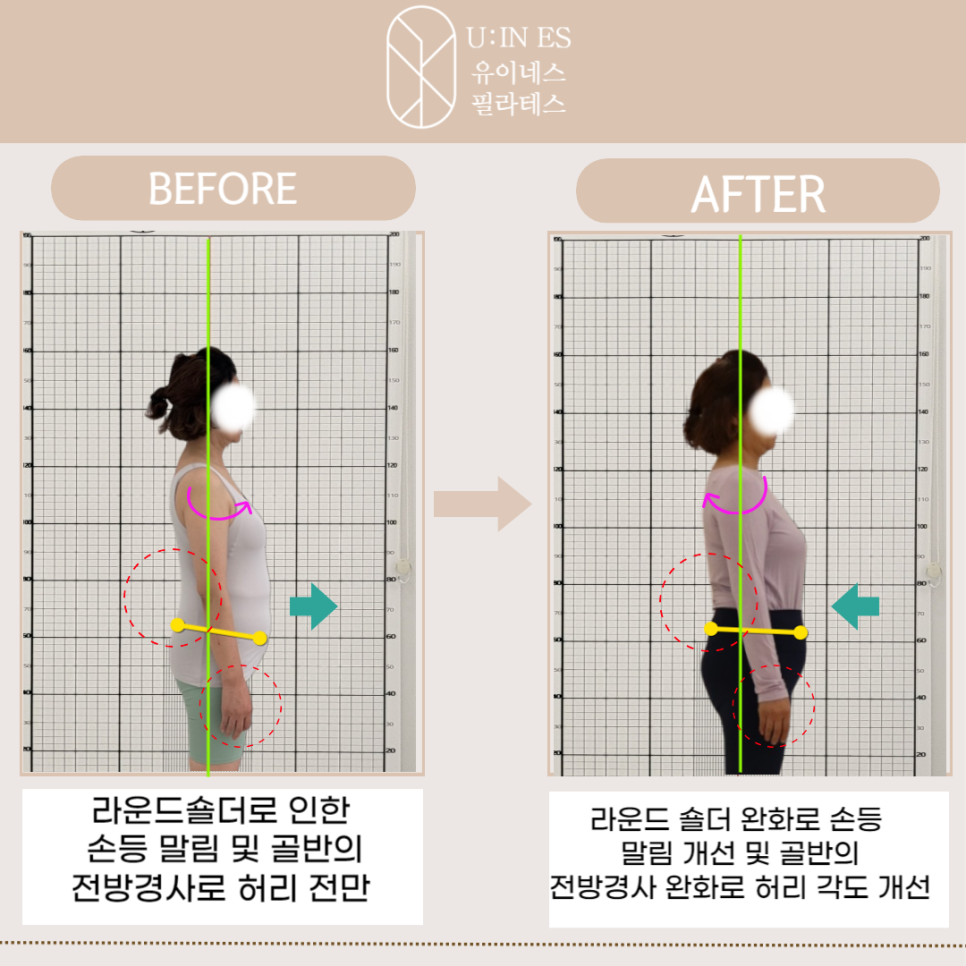유이네스 이미지