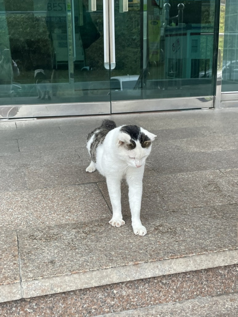 호미곶온천랜드 이미지