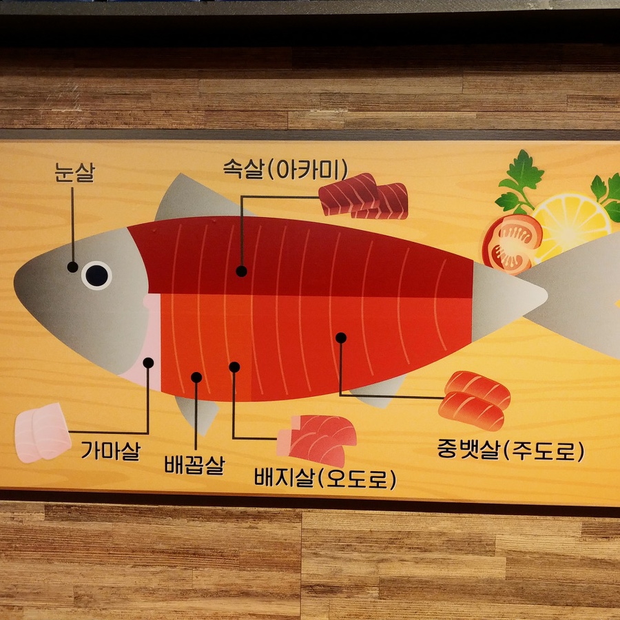원참치 이미지