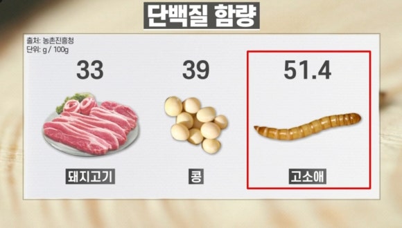영양밀웜 이미지