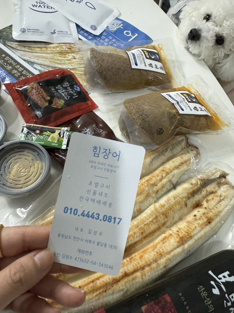 힘장어 이미지