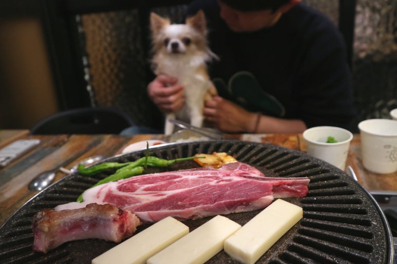 냉콤일산 이미지