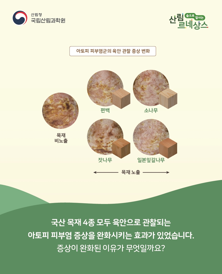 우리목재 이미지