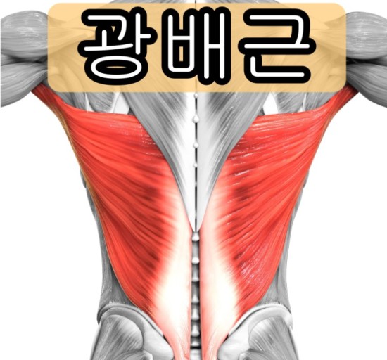 금강사우나 이미지