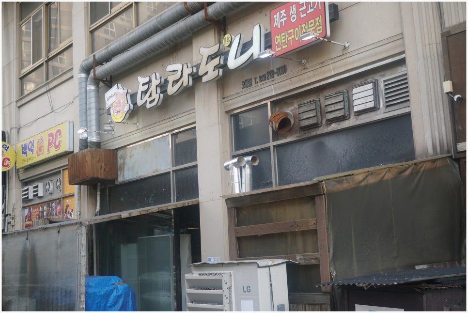 탐라도니 이미지
