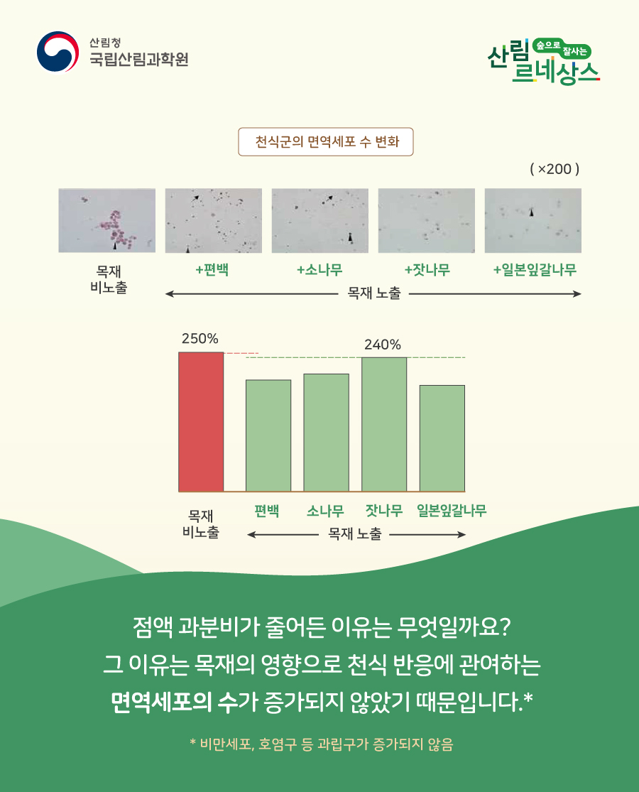 우리목재 이미지