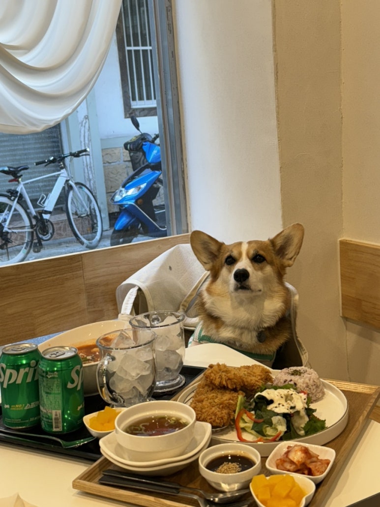 더키친바이슈가 이미지