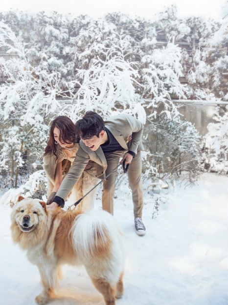 스튜디오스노우 이미지