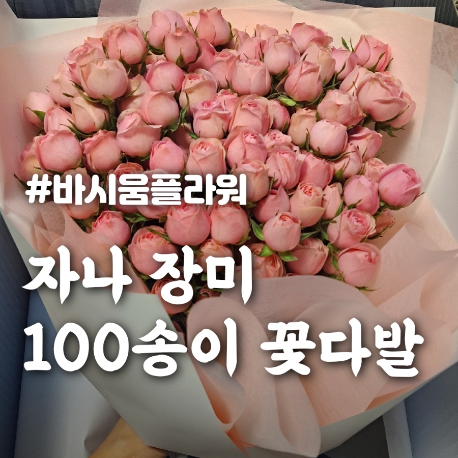 바시움플라워 이미지