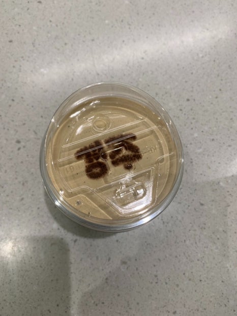 아덴블랑제리 울산신정1호점 이미지