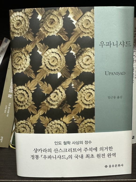 사피엔티아 이미지