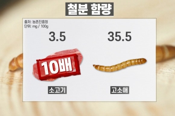 영양밀웜 이미지