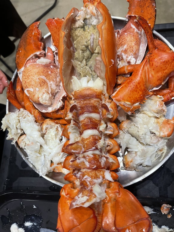 해수크랩 이미지