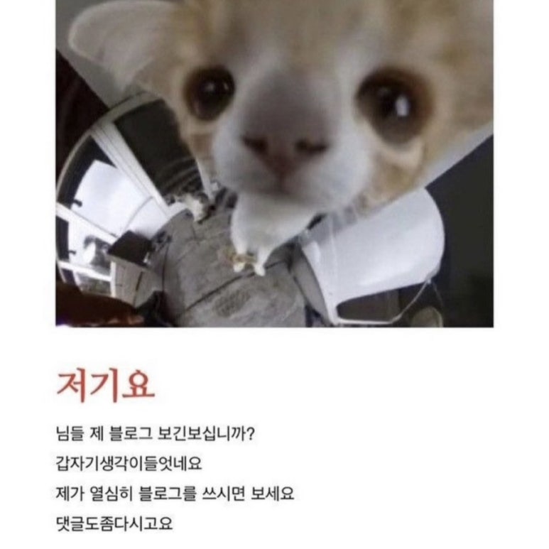 맥썸 장한평점 이미지
