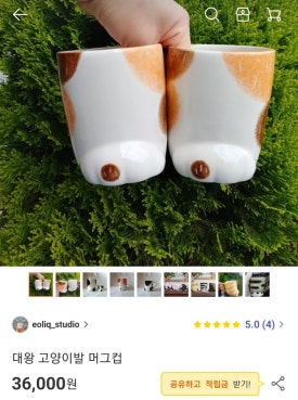 이오리크 이미지