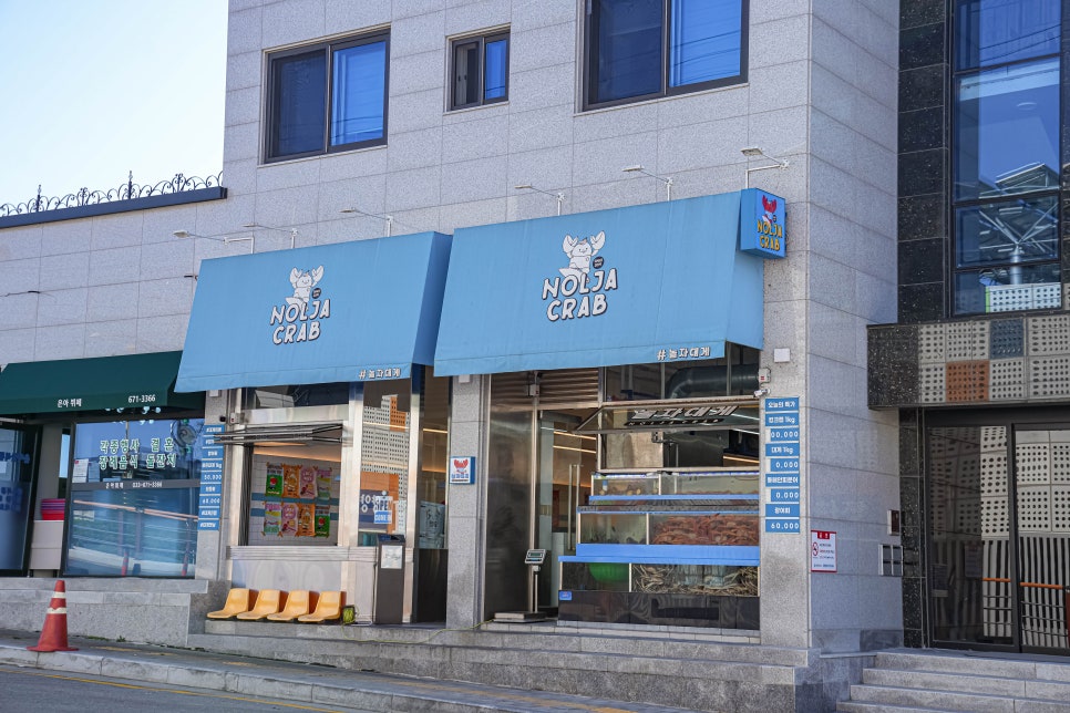 양양놀자 이미지