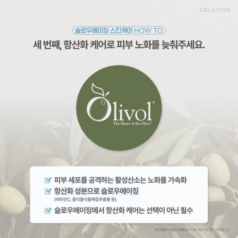 슬로우뷰티 이미지