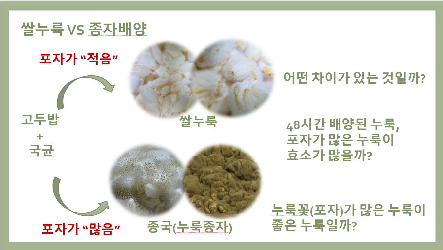 쌀누룩연구소 이미지