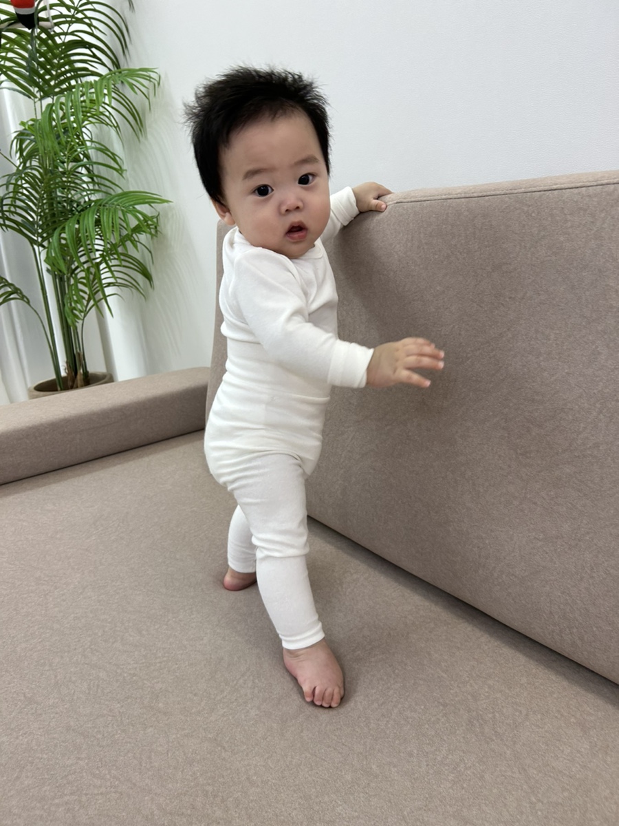 프롬301 이미지