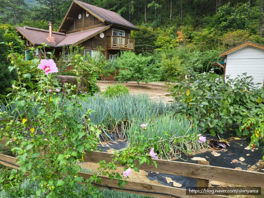 한울정원펜션 이미지