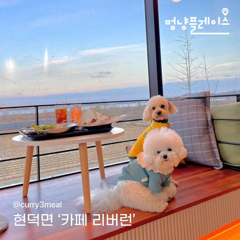 아이스크림마을평택 이미지
