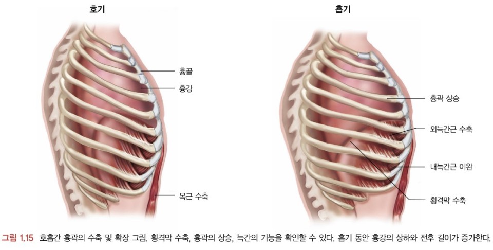 영짐 이미지