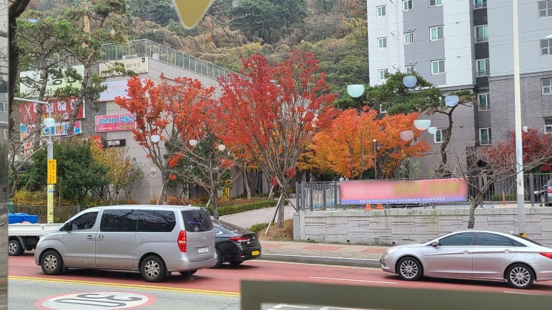 해피샌드데이 이미지