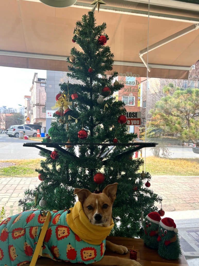 로그로우 이미지