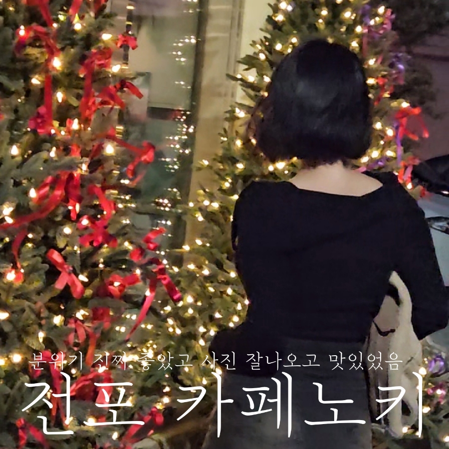 카페노키 이미지