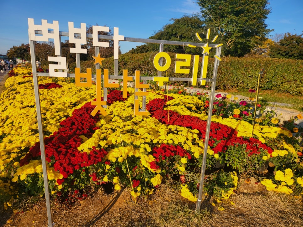 축령산편백하우스 이미지